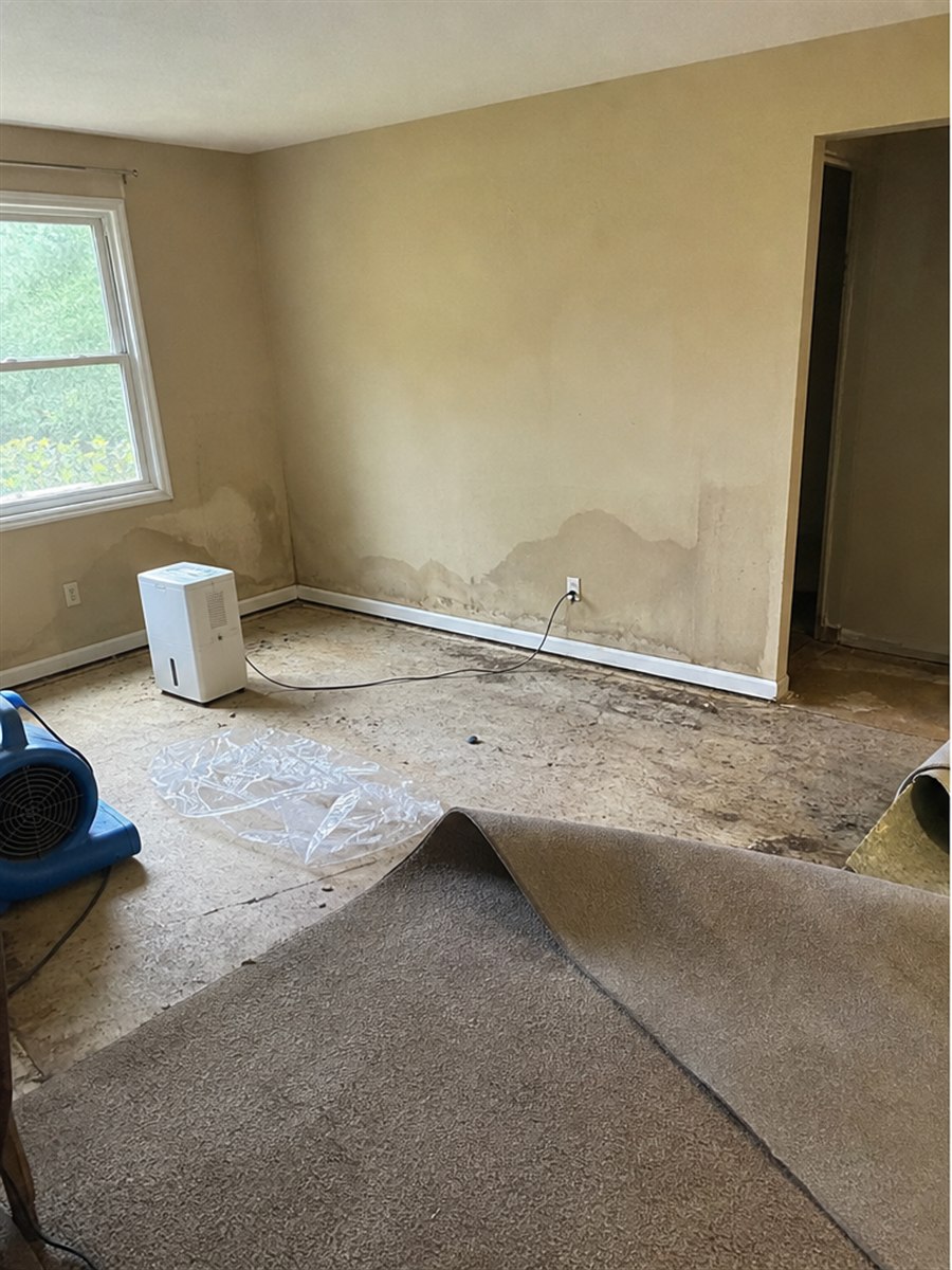 Water damage before